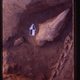 A Botai horse skull buried at the Krasnyi Yar site in Kazakhstan. (Image: Sandra Olsen)